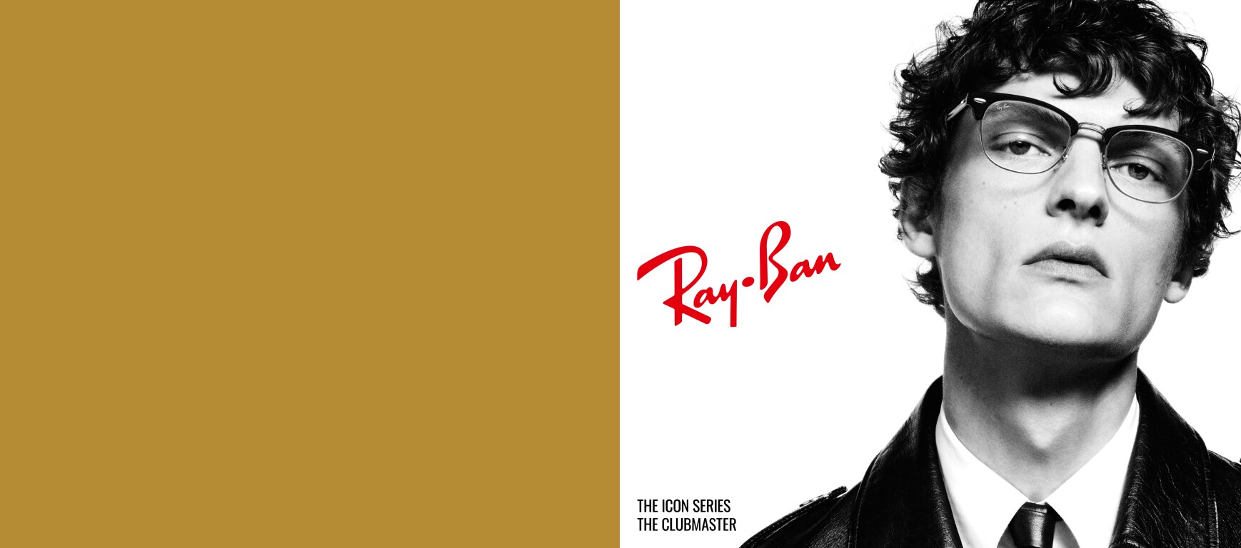 Ray-Ban Glasses PLP