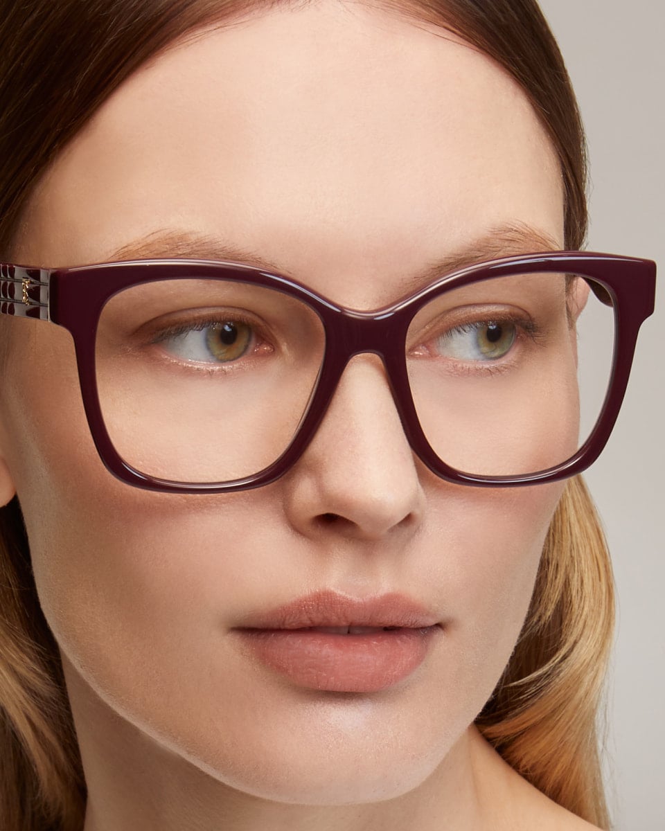 Panorama Lenses Image