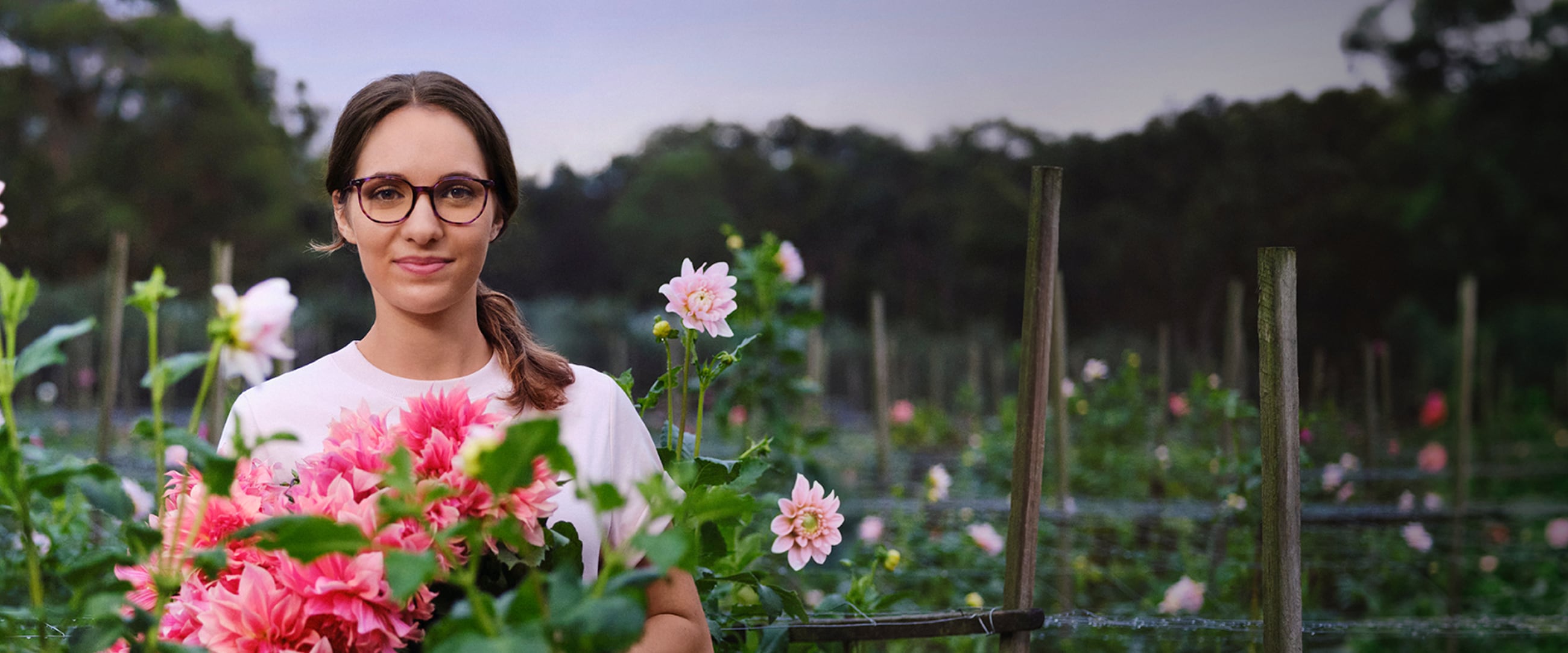 Dedicated to Everyday Excellence