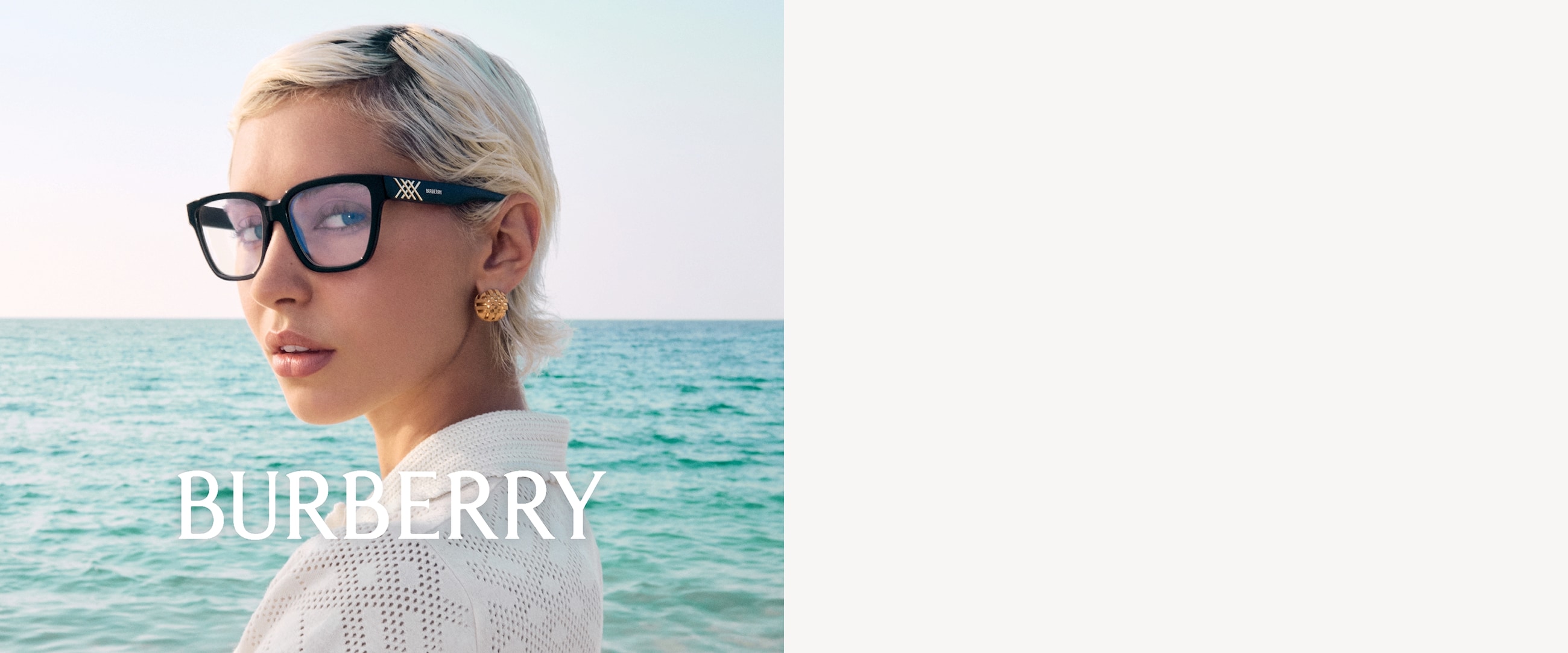 Burberry Hero Banner