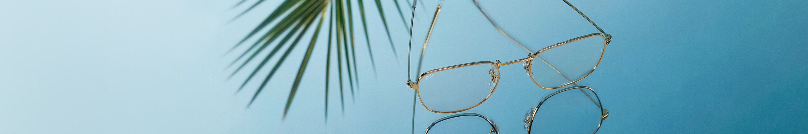 Glasses New Season Arrivals Banner